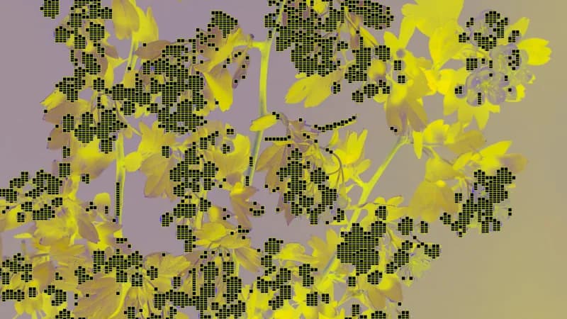 Screenshot 2026-09-23 at 1.06.12 PM